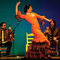 Orquestra Chekara Flamenca